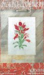 (image for) Indian Paintbrush